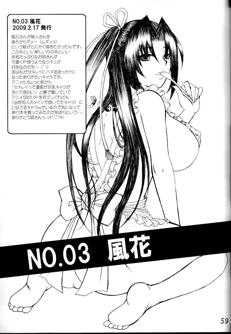 Kihisashiku - Honey Bump Sekirei Compilation Book