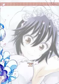 (C89) [Project Harakiri (Kaishaku)] Nisenisekoi 7 (Nisekoi)