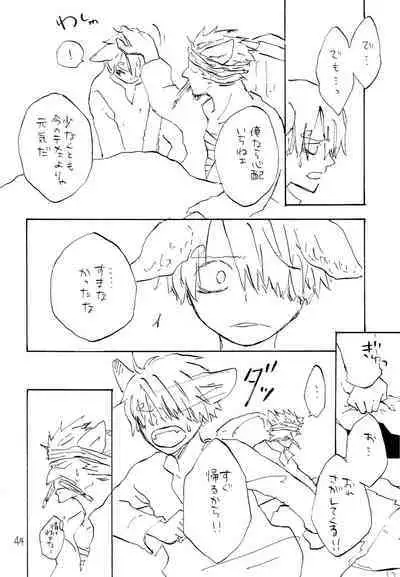 海の虹が沈む森